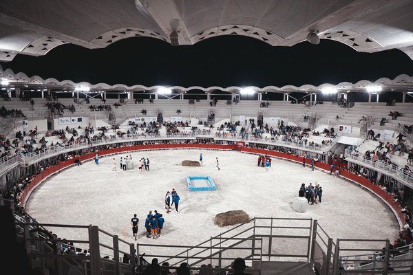 Se lancer dans le combat amateur